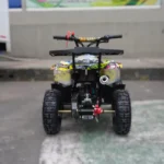CUATRIMOTO LUJO ZCY-110A - Imagen 3