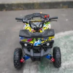 CUATRIMOTO LUJO ZCY-110A - Imagen 2