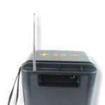 PARLANTE NANOTEC NT-P2451 (BOX X20) - Imagen 5