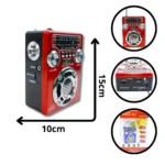 RADIO NANOTEC NT-R1168