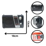 RADIO NANOTEC NT-R1229