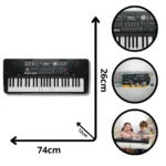 ORGANETA GRANDE MQ-808USB