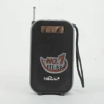 PARLANTE NANOTEC NT-P2460 (100) - Imagen 2