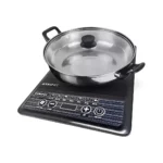 ESTUFA DE INDUCCIÓN PANEL GY-0255-O - Imagen 2