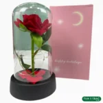 FLOR ETERNA PEQUEÑA NR219-1