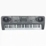 ORGANETA GRANDE MQ-808USB