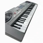 ORGANETA GRANDE MQ-808USB - Imagen 3