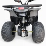 CUATRIMOTO MEDIANA M25 125CC - Imagen 7