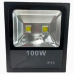 REFLECTOR EFILIGHT 100W FL02-100W